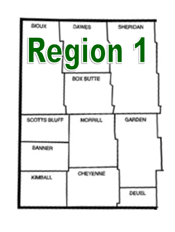 Region 1